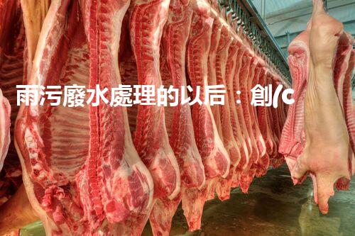 雨污廢水處理的以后：創(chuàng)新技術(shù)與環(huán)保挑戰(zhàn)？